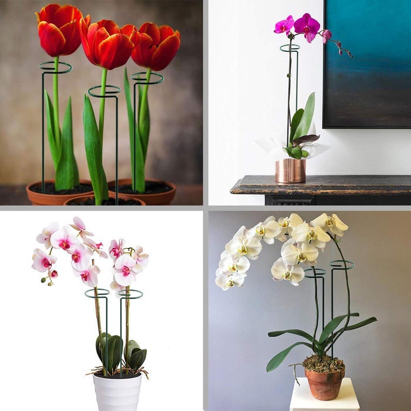 HiGift 10 Pack 24 inch Plant Stakes and Supports, Metal Flower Stakes for Potted Plant Indoor, Garden Stakes for Tall Plant Single Stem Flowers Amaryllis Tomatoes Peony Lily Rose (61 cm Long) - Image 4
